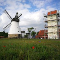 Säuberung des Mühlenturms