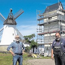Artenschutzsteele bietet Vögeln und Fledermäusen einen Unterschlupf