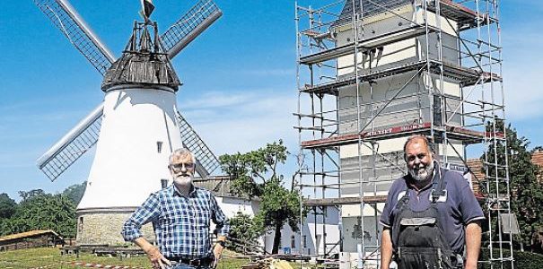 Artenschutzsteele bietet Vögeln und Fledermäusen einen Unterschlupf