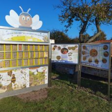 Wildbienenwand an der Windmühle aufgestellt
