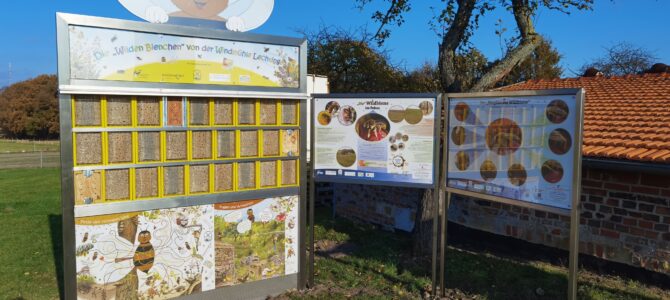 Wildbienenwand an der Windmühle aufgestellt