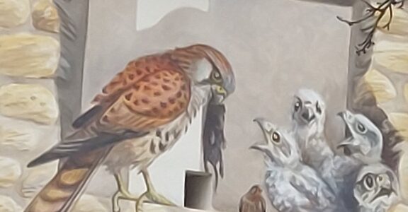 Es tut sich was im Artenschutzturm